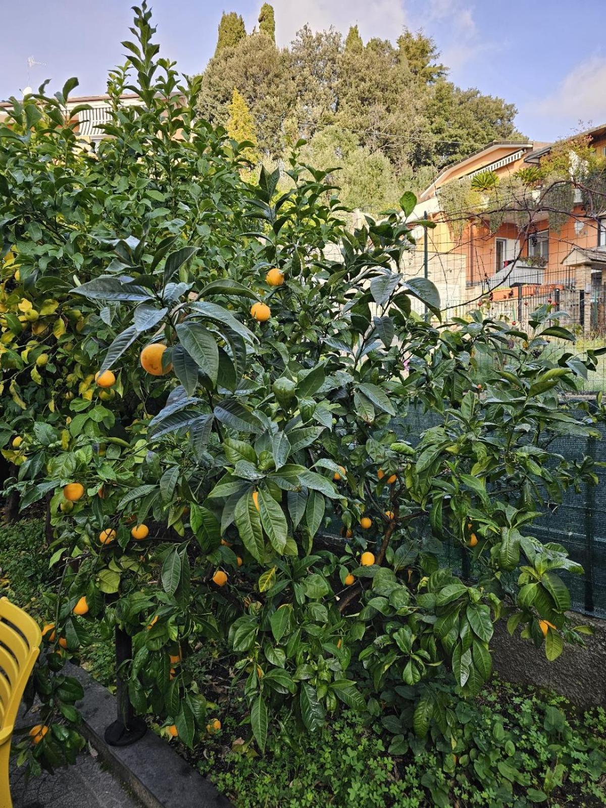 Marty&Olly Luxury Garden Apt Monterosso al Mare Zewnętrze zdjęcie